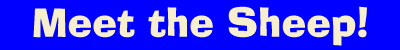 about Sheepcomics.com Inc.