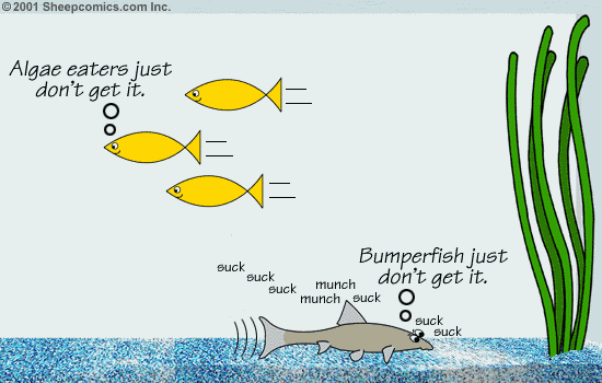 Sheepcomics.com A Fish Story 14