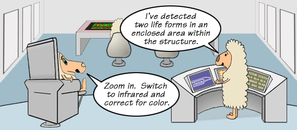 Sheepcomics.com   bridge