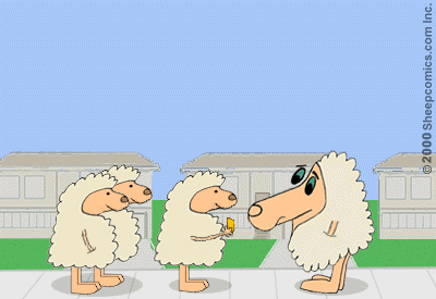 Sheepcomics.com Trading Cards 11